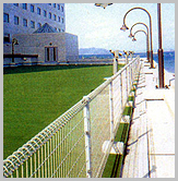 Decorating fence(Wire Mesh Fence)