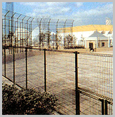 Decorating fence(Wire Mesh Fence)